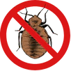 Bed Bugs Control Heidelberg