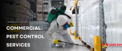 Commercial Pest Control Services