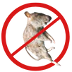 Dead Animal Removal Heidelberg