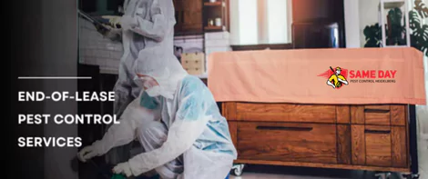 End-of-Lease Pest Control Services