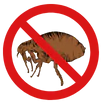Flea Control Heidelberg