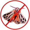 Moth Control Heidelberg