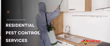 Residential Pest Control Services