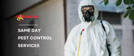 Same Day Pest Control Services
